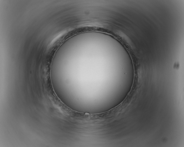 X0000114001064200910021311