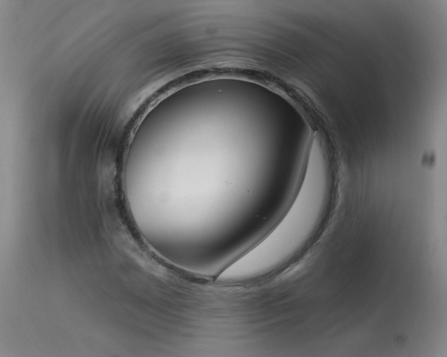 X0000114001065200910021311