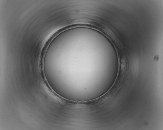 X0000114001068200910021311