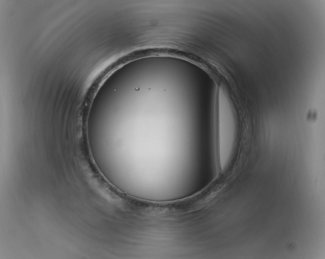 X0000114001069200910021311