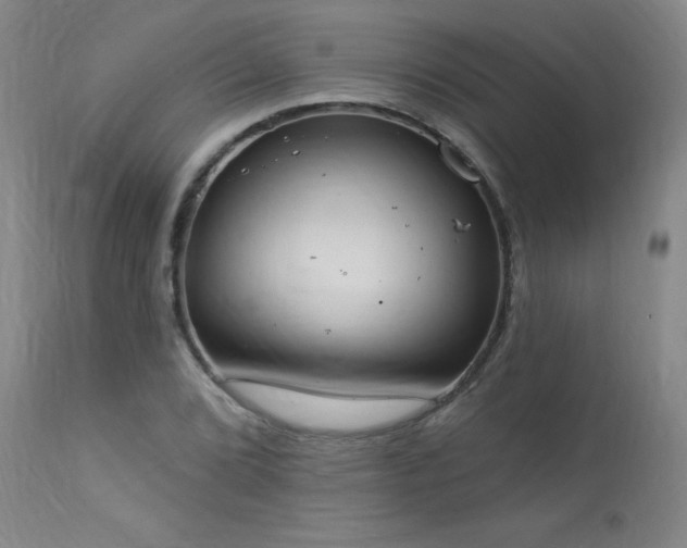 X0000114001072200910021311