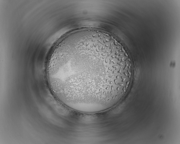 X0000114001074200910021311