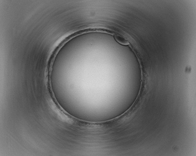 X0000114001076200910021311
