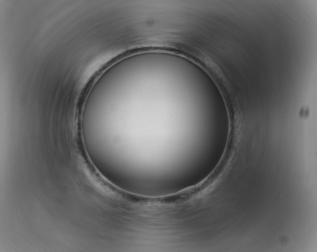 X0000114001077200910021311