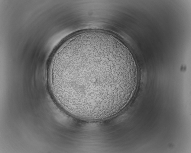 X0000114001078200910021311