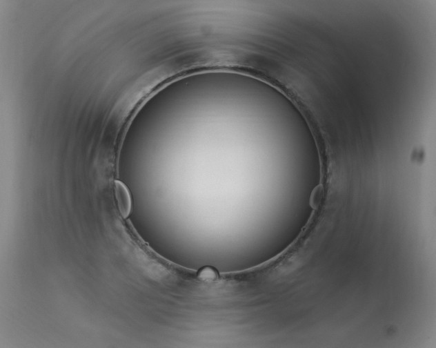 X0000114001081200910021311