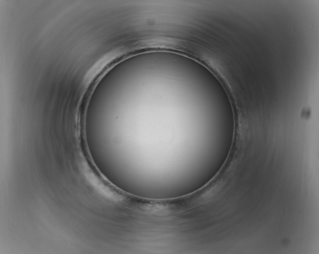 X0000114001082200910021311