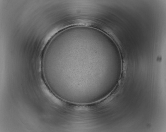 X0000114001083200910021311