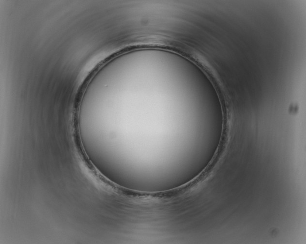 X0000114001085200910021311