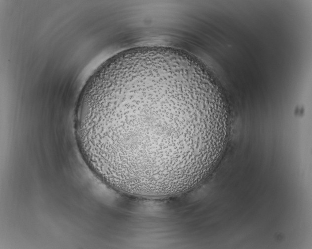 X0000114001086200910021311