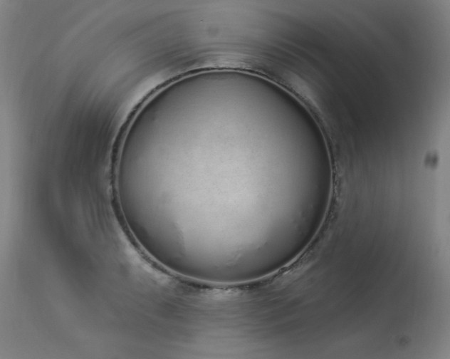 X0000114001087200910021311