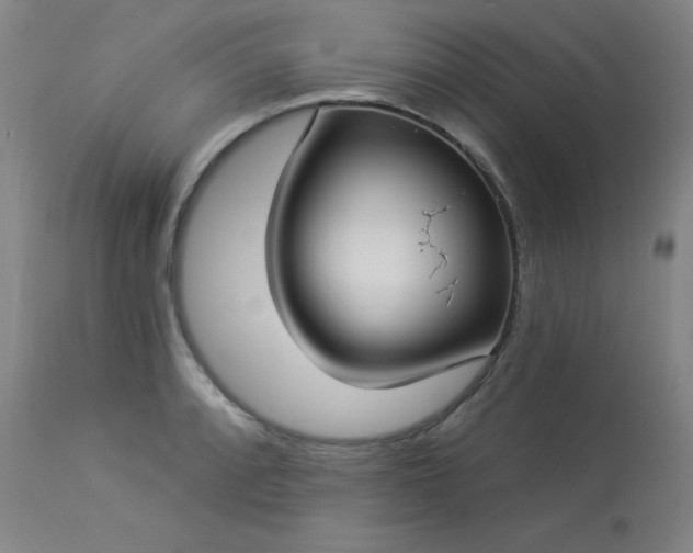 X0000114001088200910021311