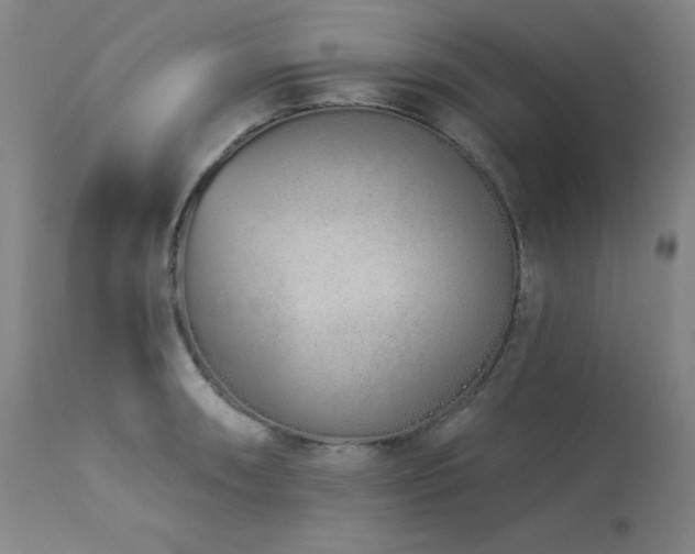 X0000114001090200910021311