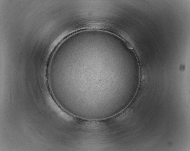 X0000114001091200910021311