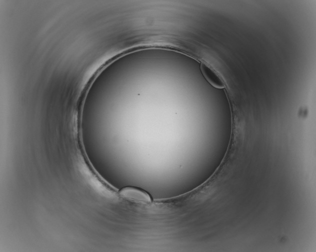 X0000114001092200910021311