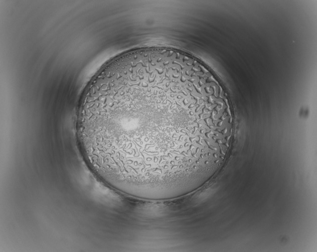X0000114001094200910021311