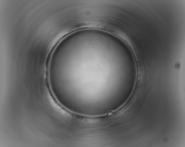 X0000114001095200910021311