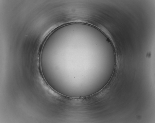 X0000114001096200910021311