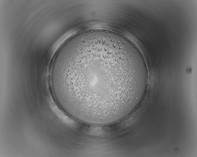 X0000114001098200910021311
