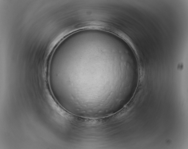 X0000114001099200910021310