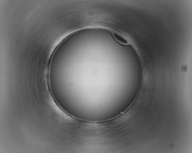 X0000114001100200910021310