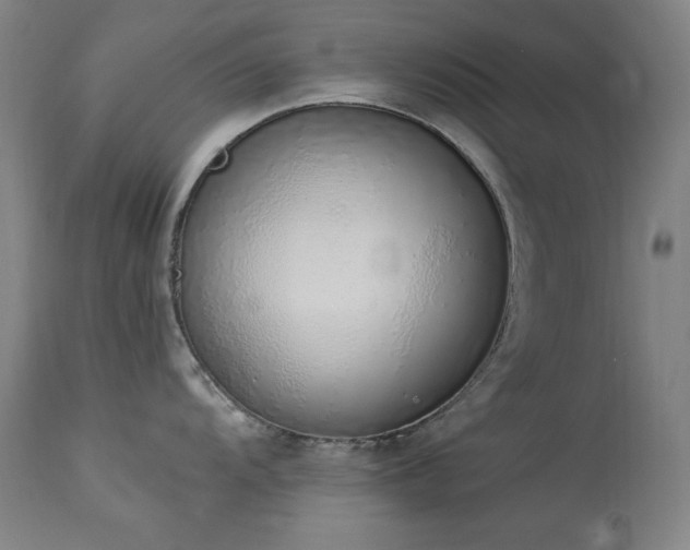 X0000114001104200910021310