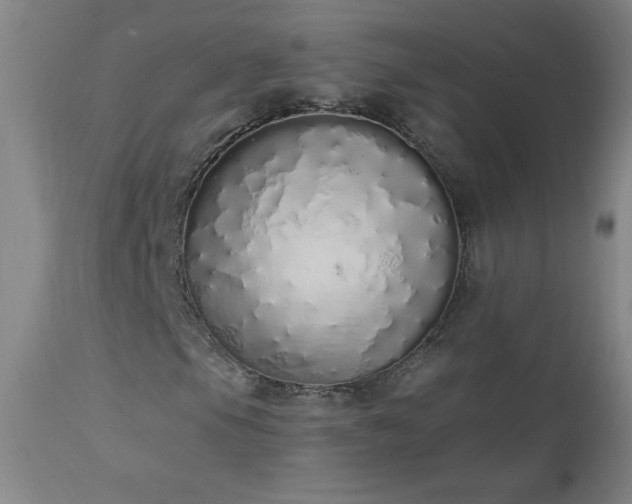 X0000114001105200910021310