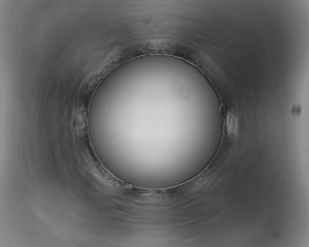 X0000114001107200910021310