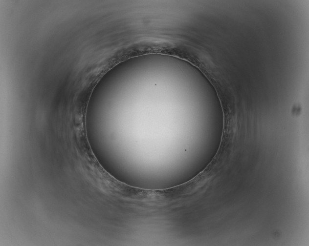 X0000114001109200910021310