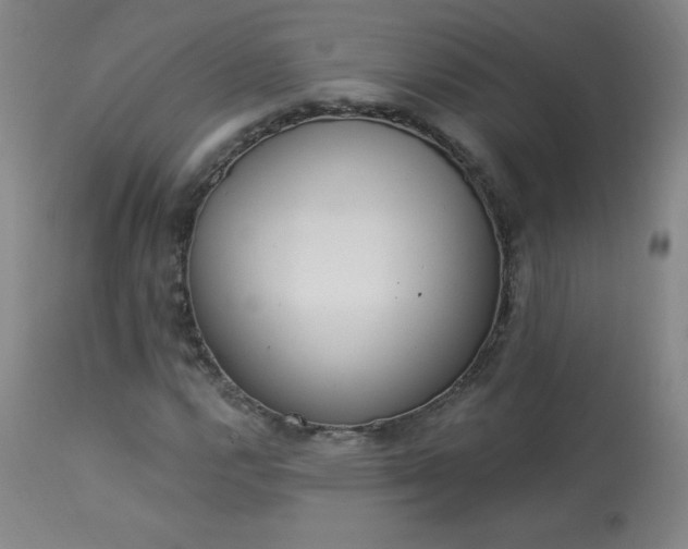 X0000114001112200910021310