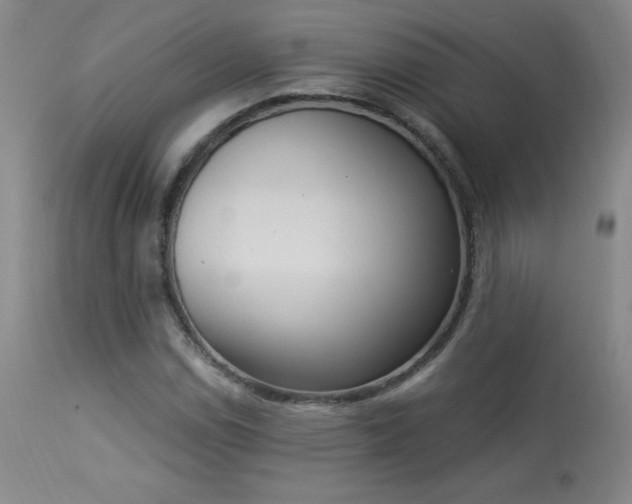 X0000114001114200910021310