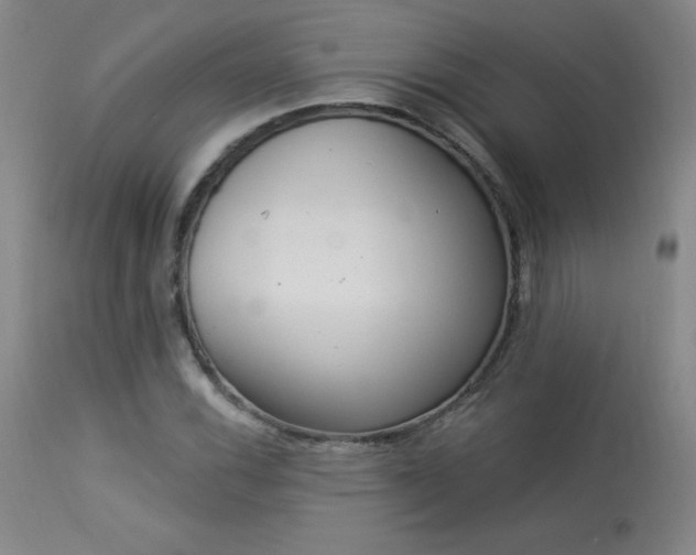 X0000114001116200910021310