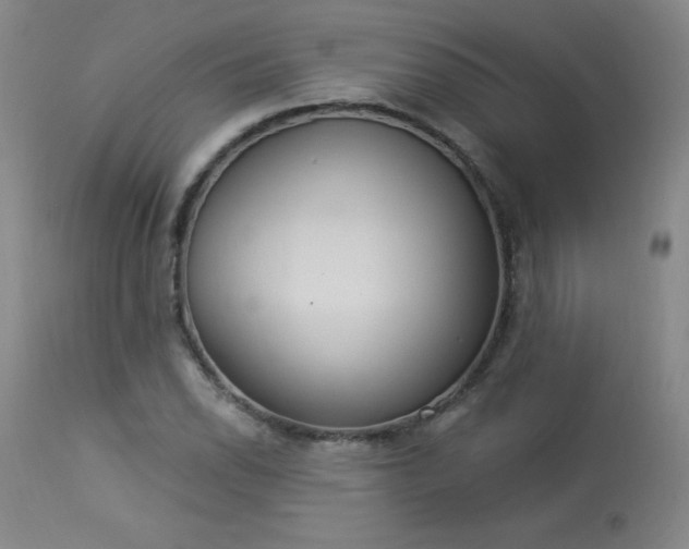 X0000114001118200910021310