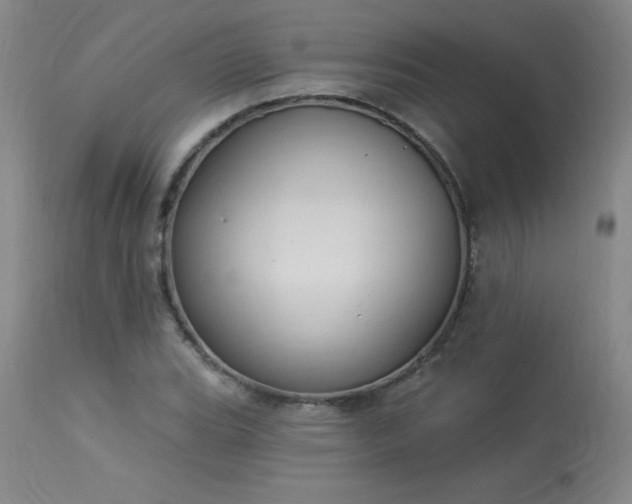 X0000114001119200910021310