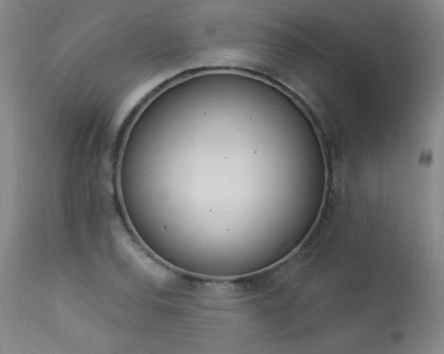 X0000114001120200910021310