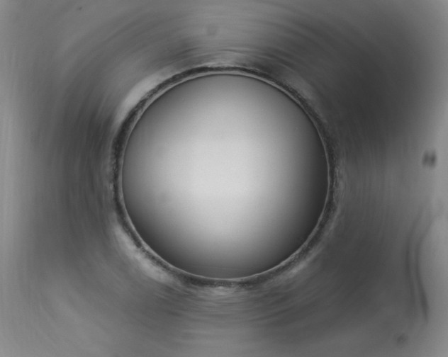 X0000114001122200910021310