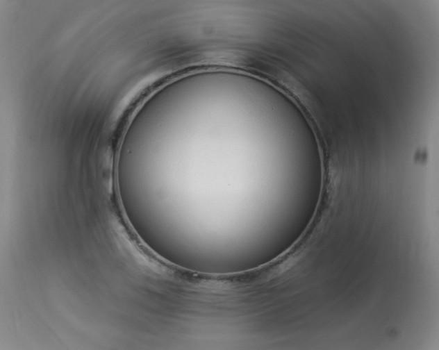 X0000114001123200910021310