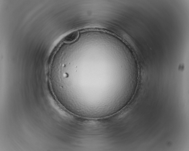 X0000114001124200910021310