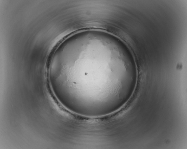 X0000114001125200910021310