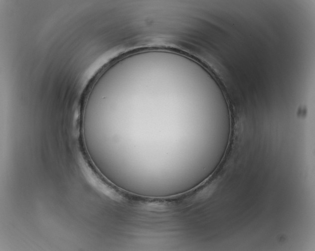 X0000114001126200910021310