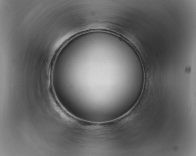 X0000114001127200910021310