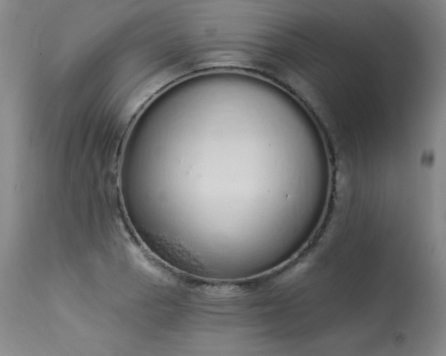 X0000114001129200910021310