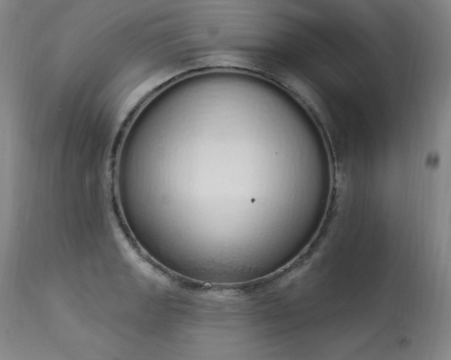 X0000114001133200910021310