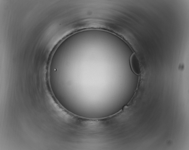 X0000114001134200910021310