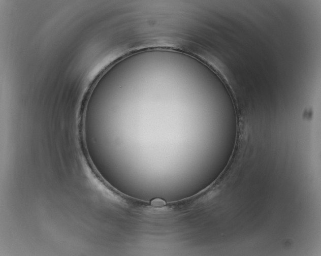 X0000114001135200910021310