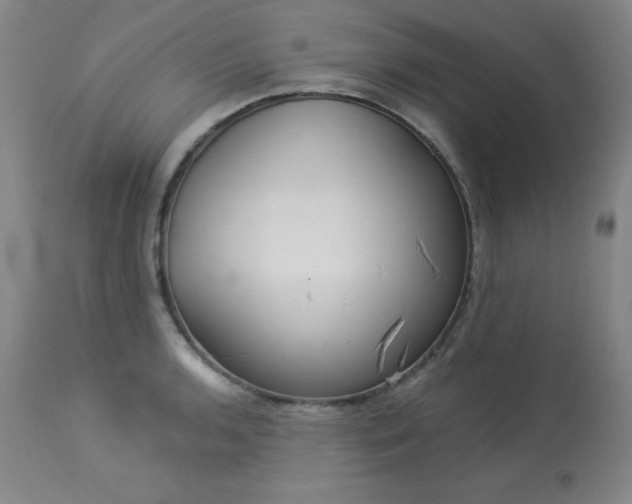 X0000114001136200910021310