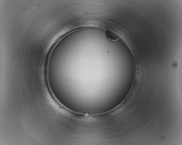X0000114001139200910021310