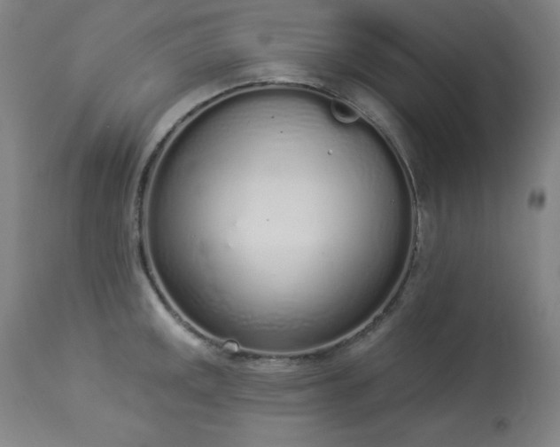 X0000114001141200910021310