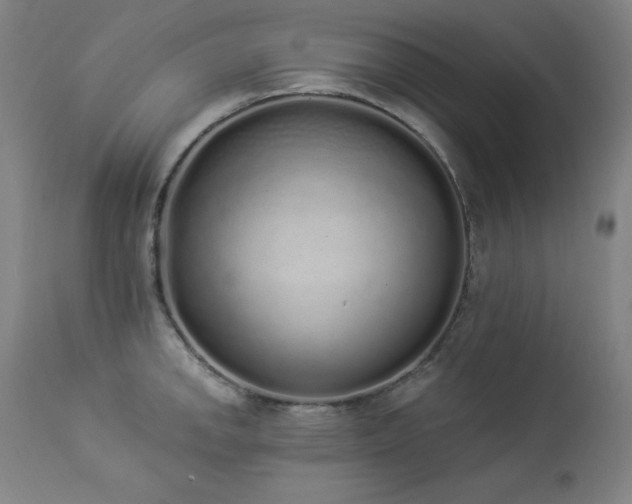 X0000114001142200910021310