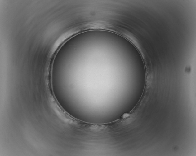 X0000114001146200910021310